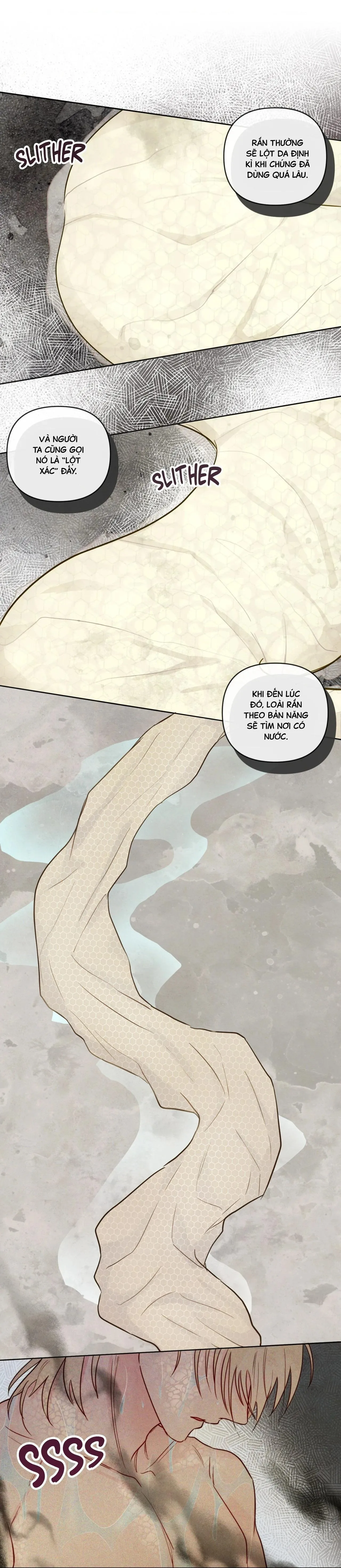 Sự quyến rũ của Thần Rắn Chapter 22 Trang 37