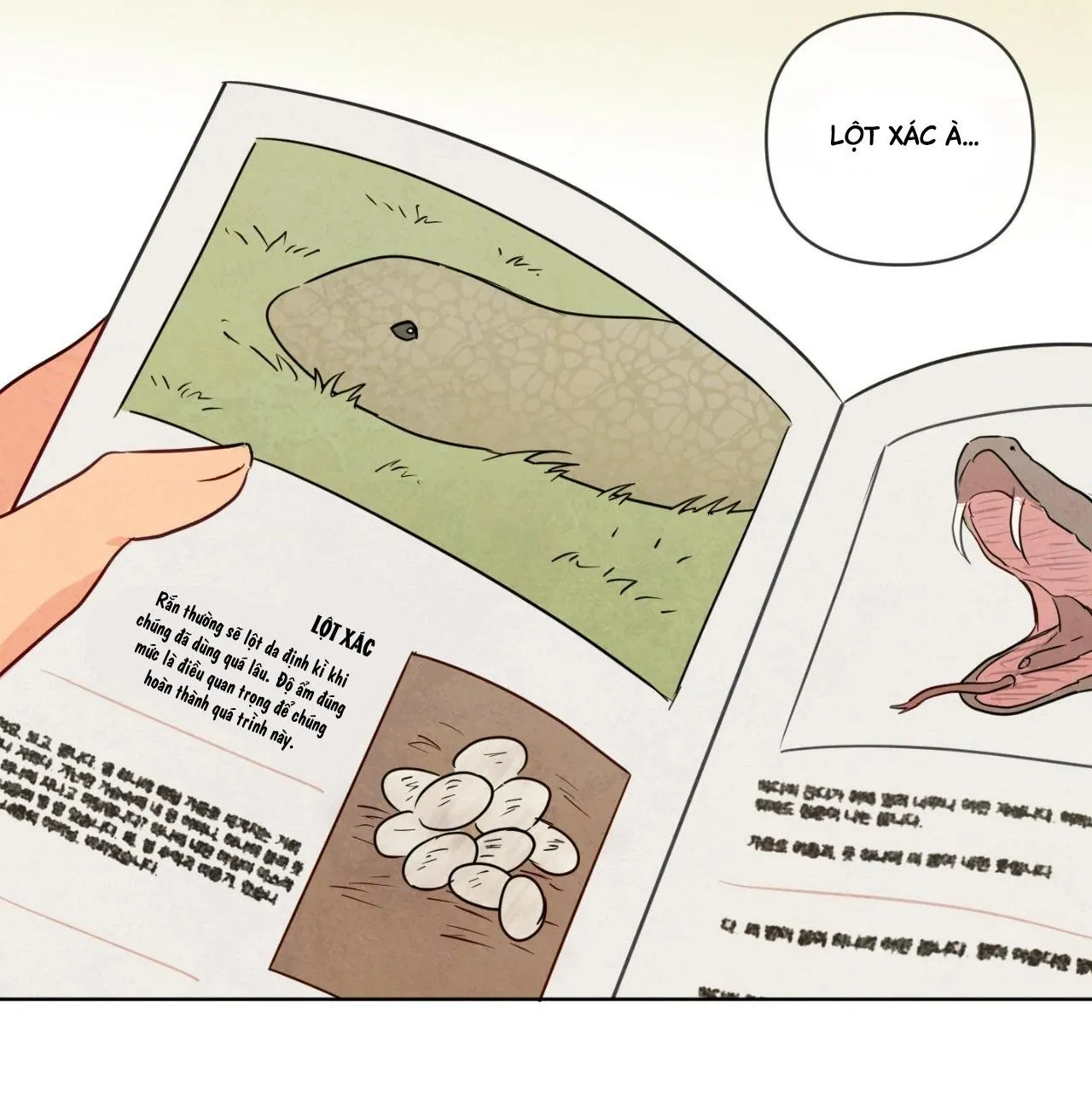 Sự quyến rũ của Thần Rắn Chapter 22 Trang 43