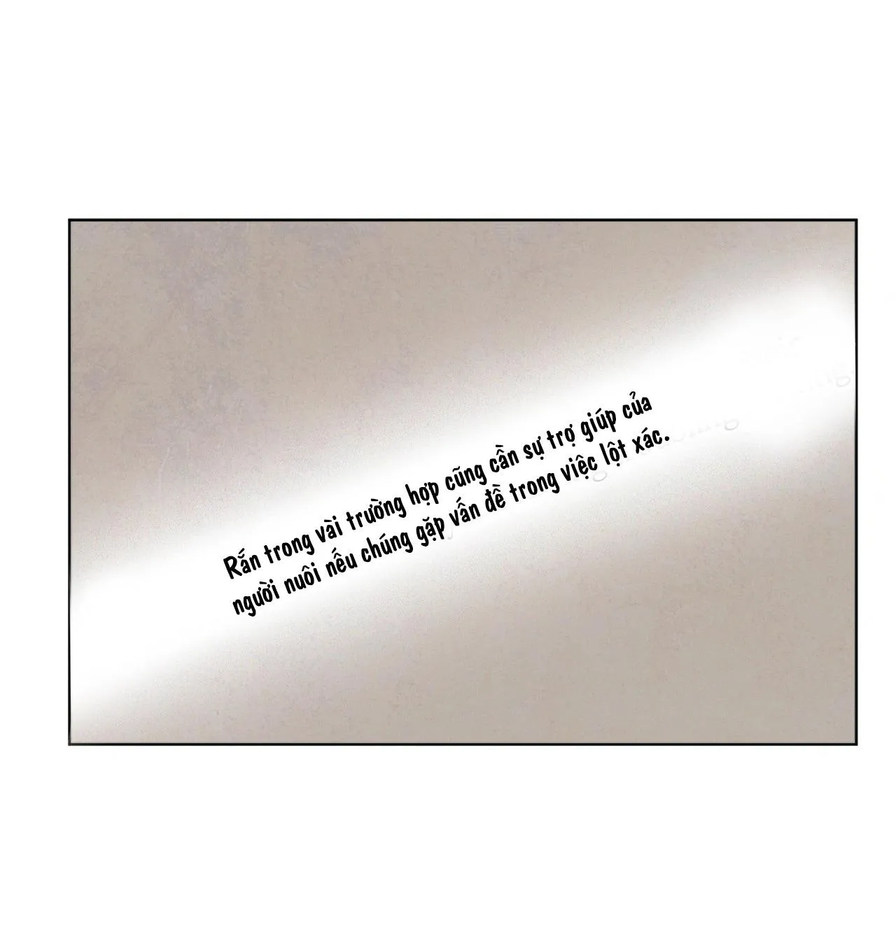 Sự quyến rũ của Thần Rắn Chapter 22 Trang 45