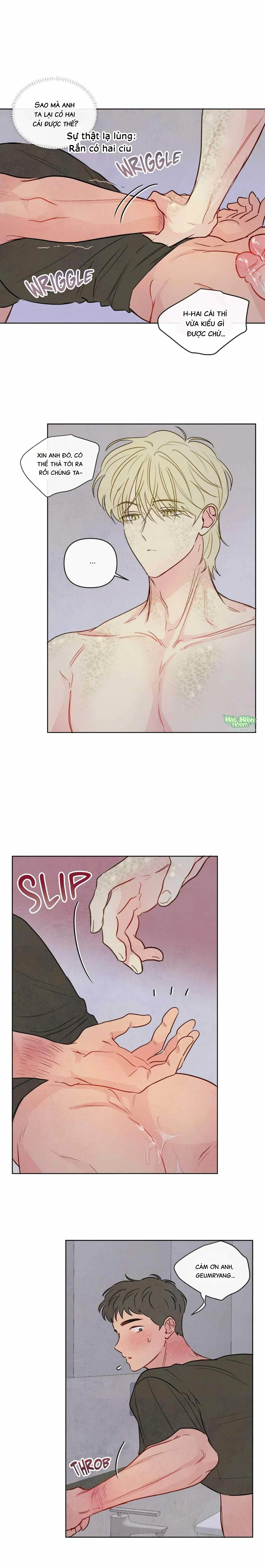Sự quyến rũ của Thần Rắn Chapter 24 Trang 3