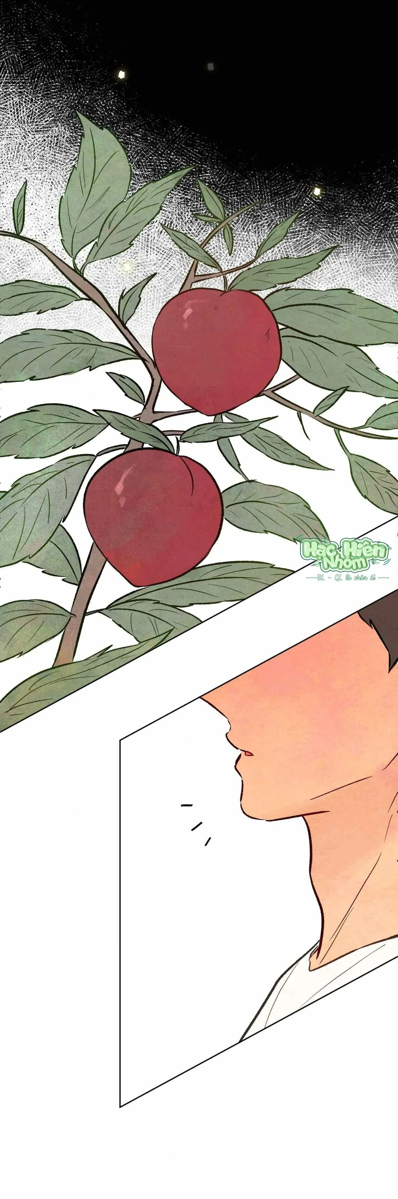 Sự quyến rũ của Thần Rắn Chapter 25 Trang 50