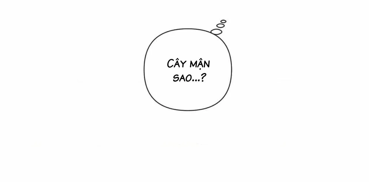 Sự quyến rũ của Thần Rắn Chapter 25 Trang 52
