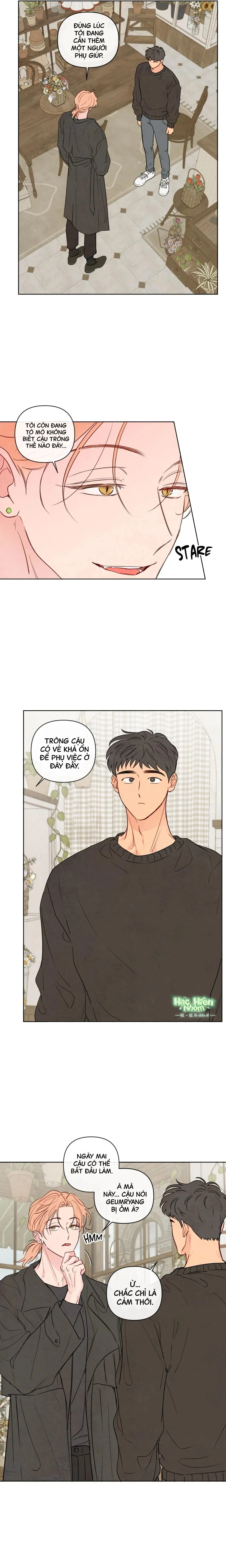 Sự quyến rũ của Thần Rắn Chapter 31 Trang 3