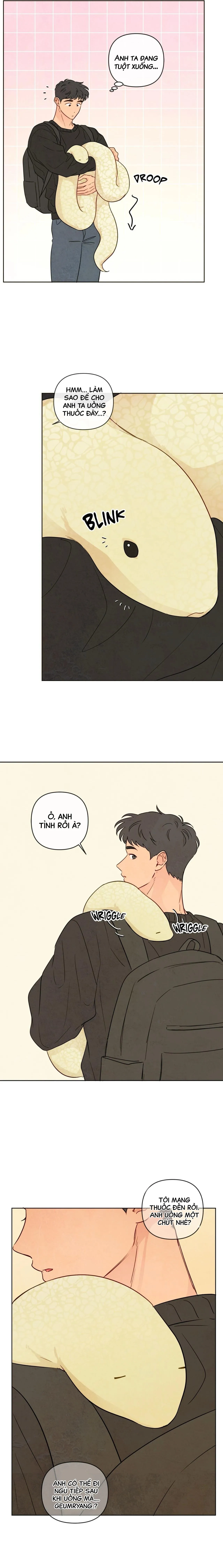 Sự quyến rũ của Thần Rắn Chapter 31 Trang 19