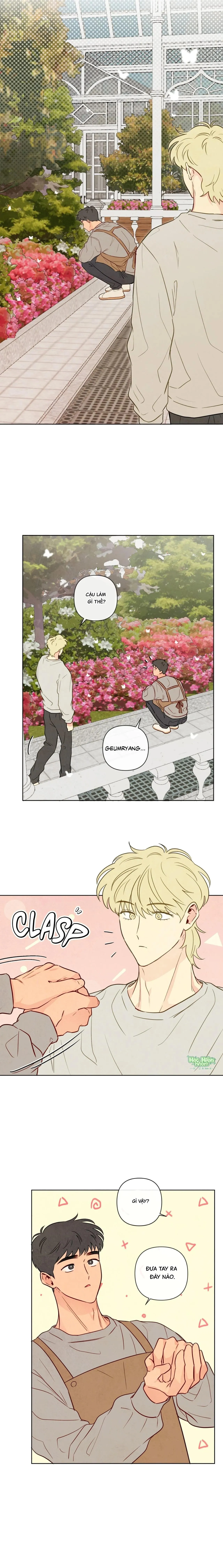 Sự quyến rũ của Thần Rắn Chapter 32 Trang 13