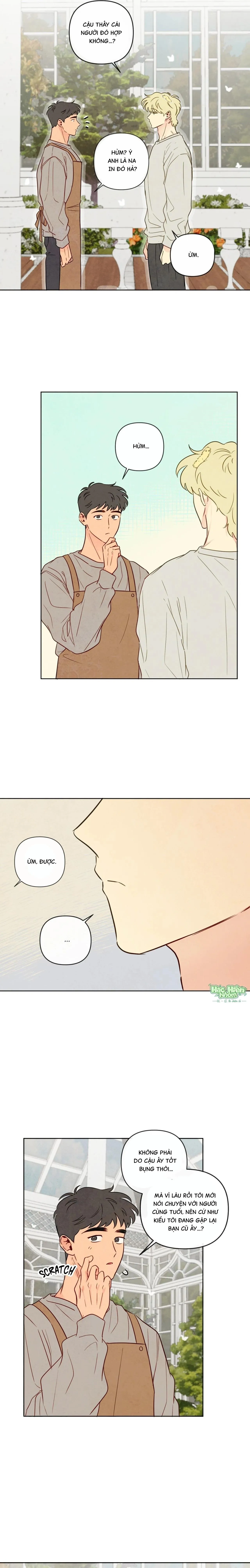 Sự quyến rũ của Thần Rắn Chapter 32 Trang 16