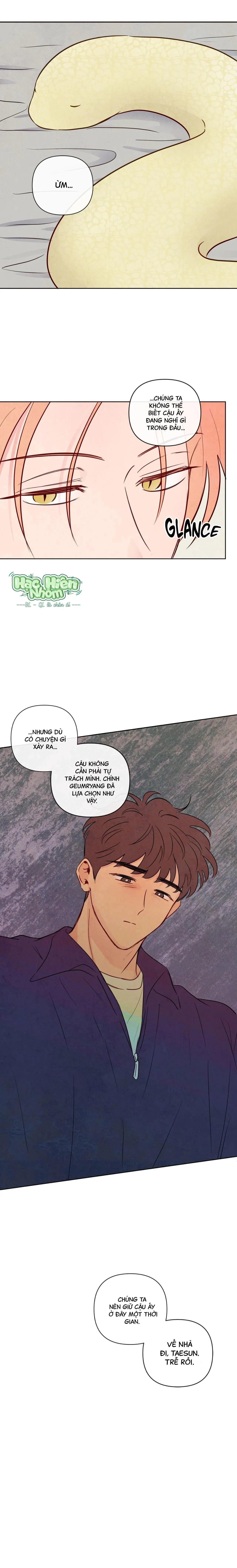 Sự quyến rũ của Thần Rắn Chapter 41 Trang 11