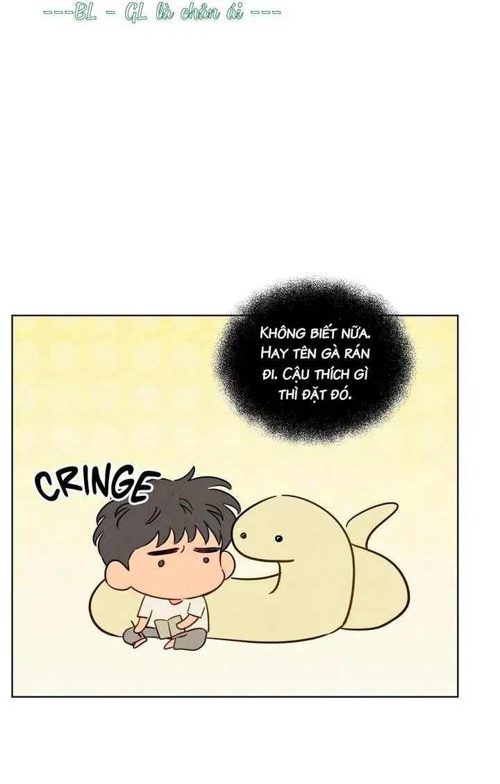 Sự quyến rũ của Thần Rắn Chapter 50 Trang 13