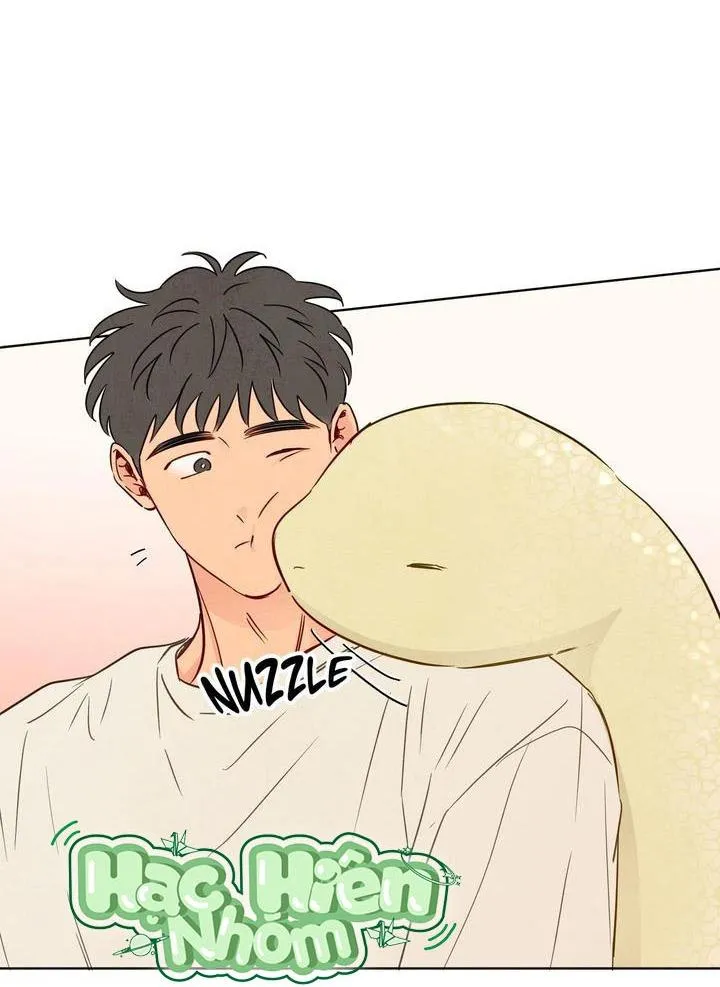 Sự quyến rũ của Thần Rắn Chapter 50 Trang 25