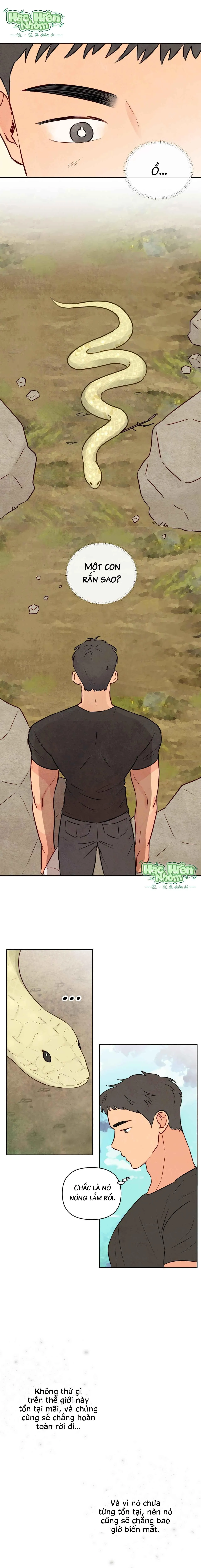 Sự quyến rũ của Thần Rắn Chapter 1 Trang 11