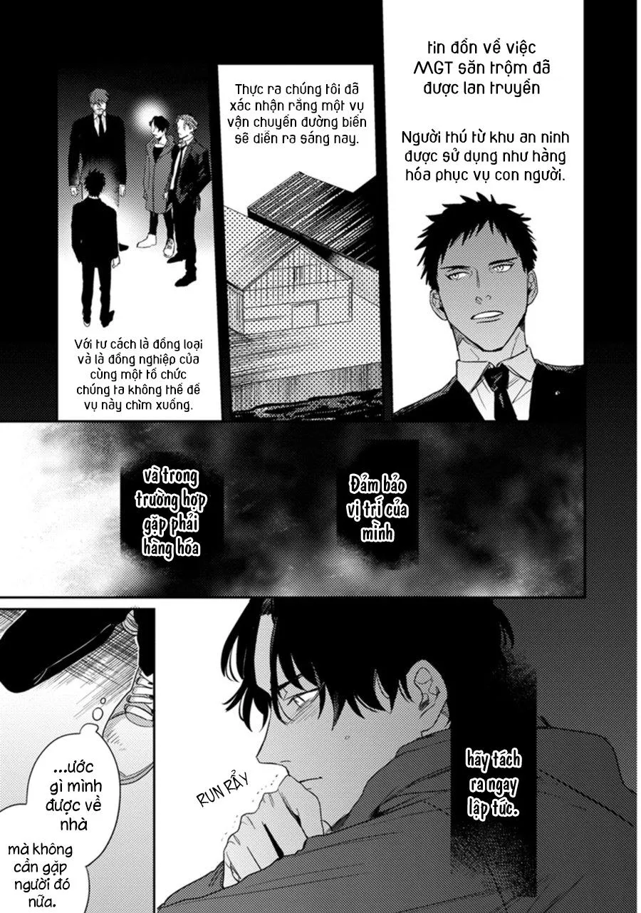 Sự Rung Động Thuần Khiết Chapter 2 Trang 23