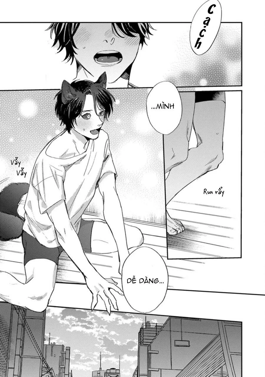 Sự Rung Động Thuần Khiết Chapter 3 Trang 13