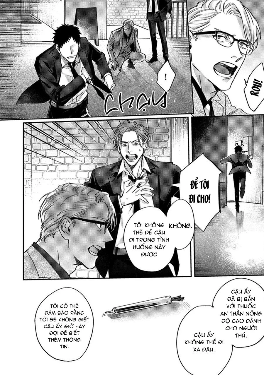 Sự Rung Động Thuần Khiết Chapter 5 Trang 7