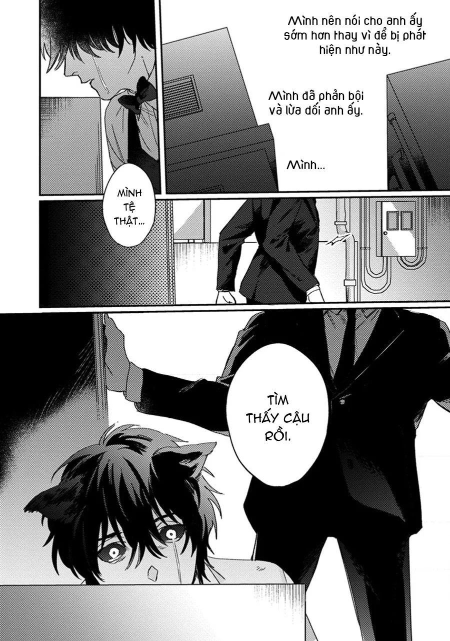 Sự Rung Động Thuần Khiết Chapter 5 Trang 11