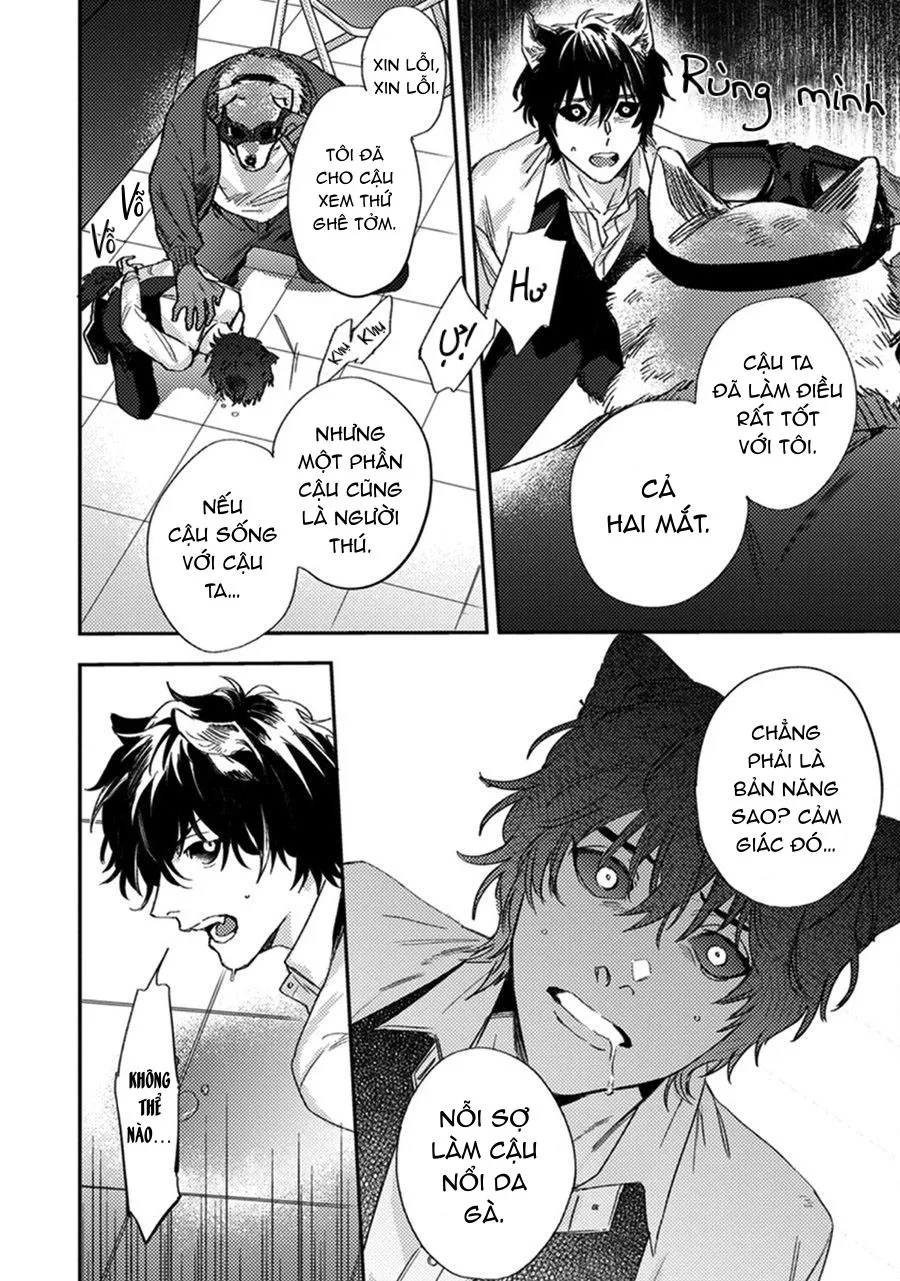 Sự Rung Động Thuần Khiết Chapter 5 Trang 19