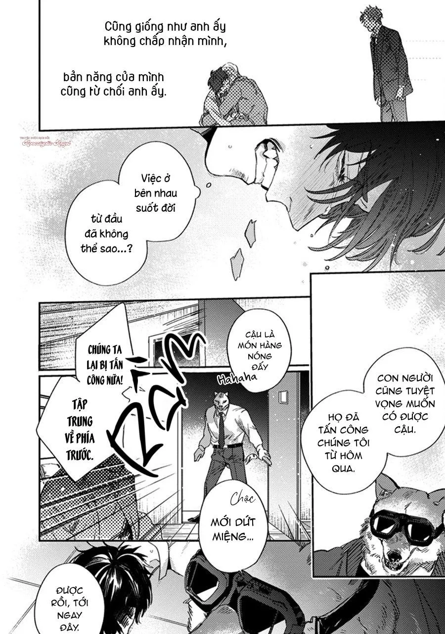 Sự Rung Động Thuần Khiết Chapter 5 Trang 21