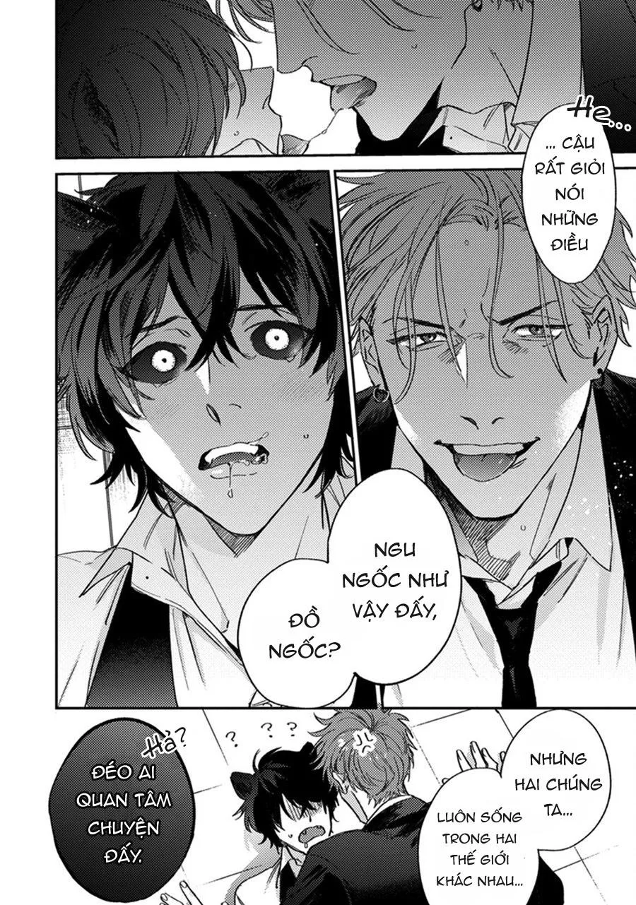 Sự Rung Động Thuần Khiết Chapter 6 Trang 9