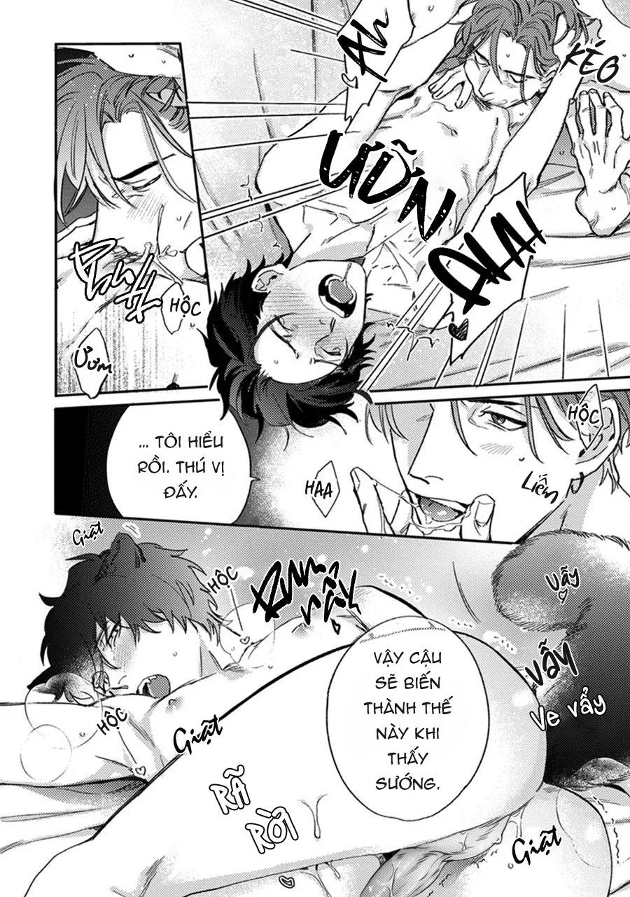 Sự Rung Động Thuần Khiết Chapter 6 Trang 23