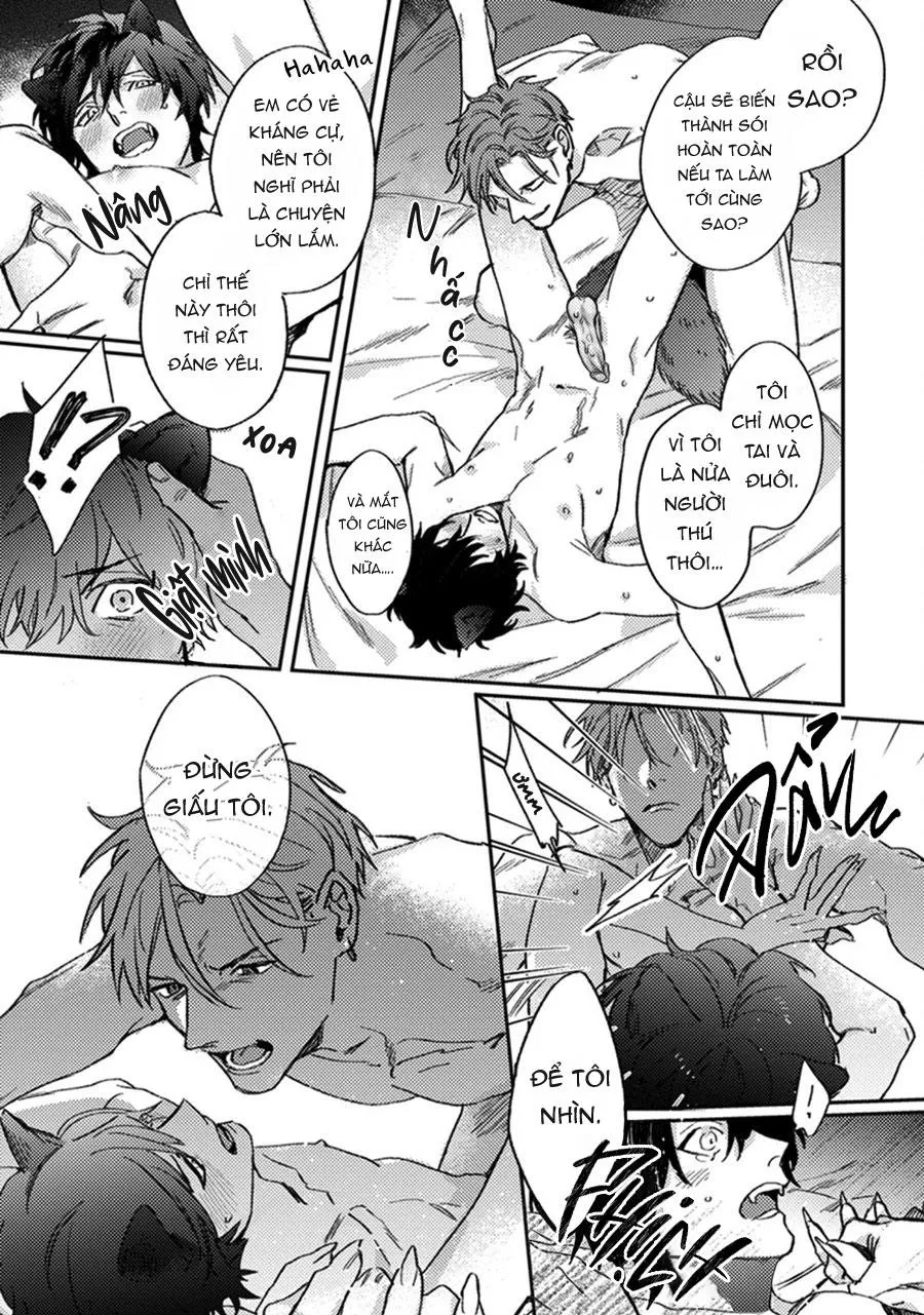 Sự Rung Động Thuần Khiết Chapter 6 Trang 24