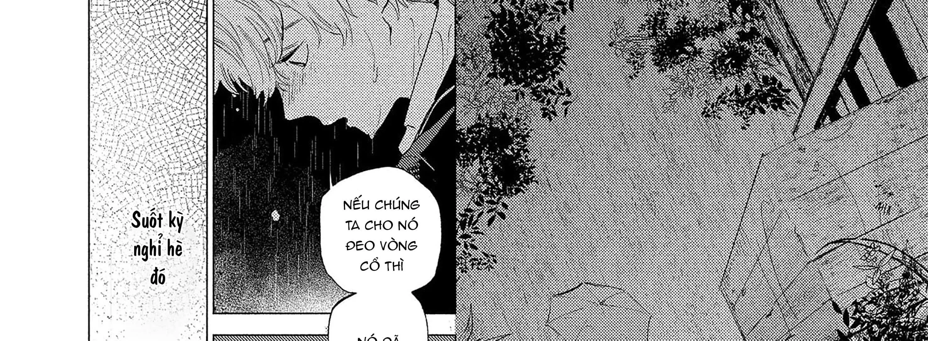 Sự Thù Hận Không Thể Hóa Giải Chapter 3 Trang 71