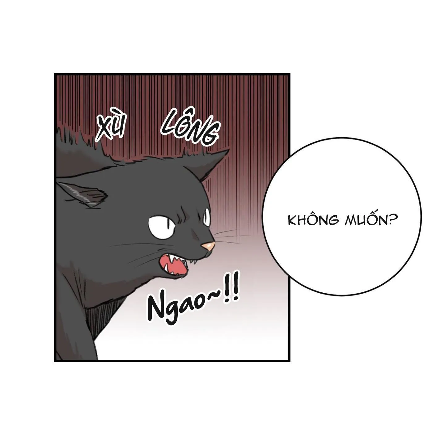 SỰ TRẢ THÙ MÉO MÓ Chapter 15 Trang 3