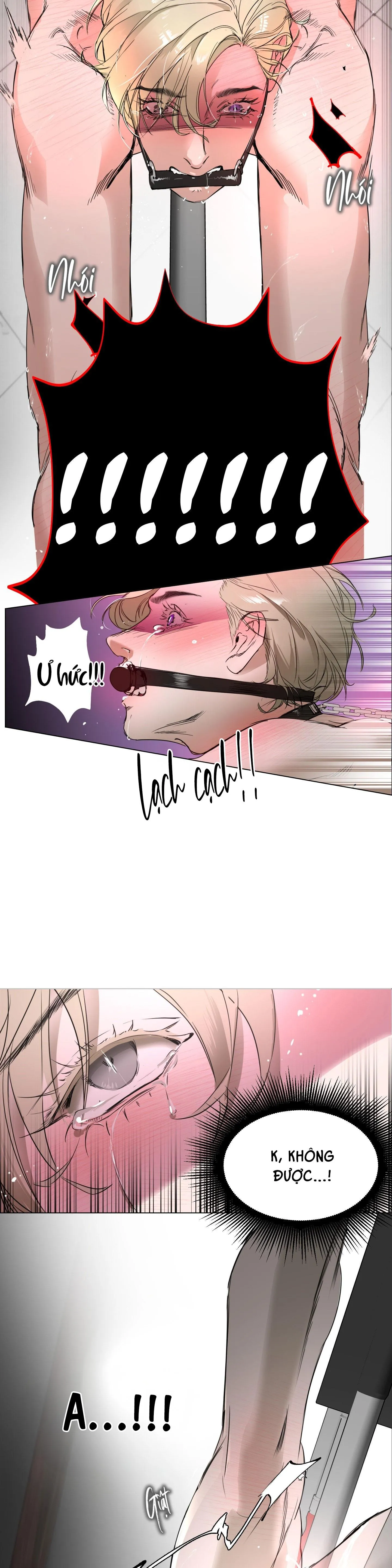 SỰ TRÓI BUỘC CỦA YAN Chapter 1 Trang 5