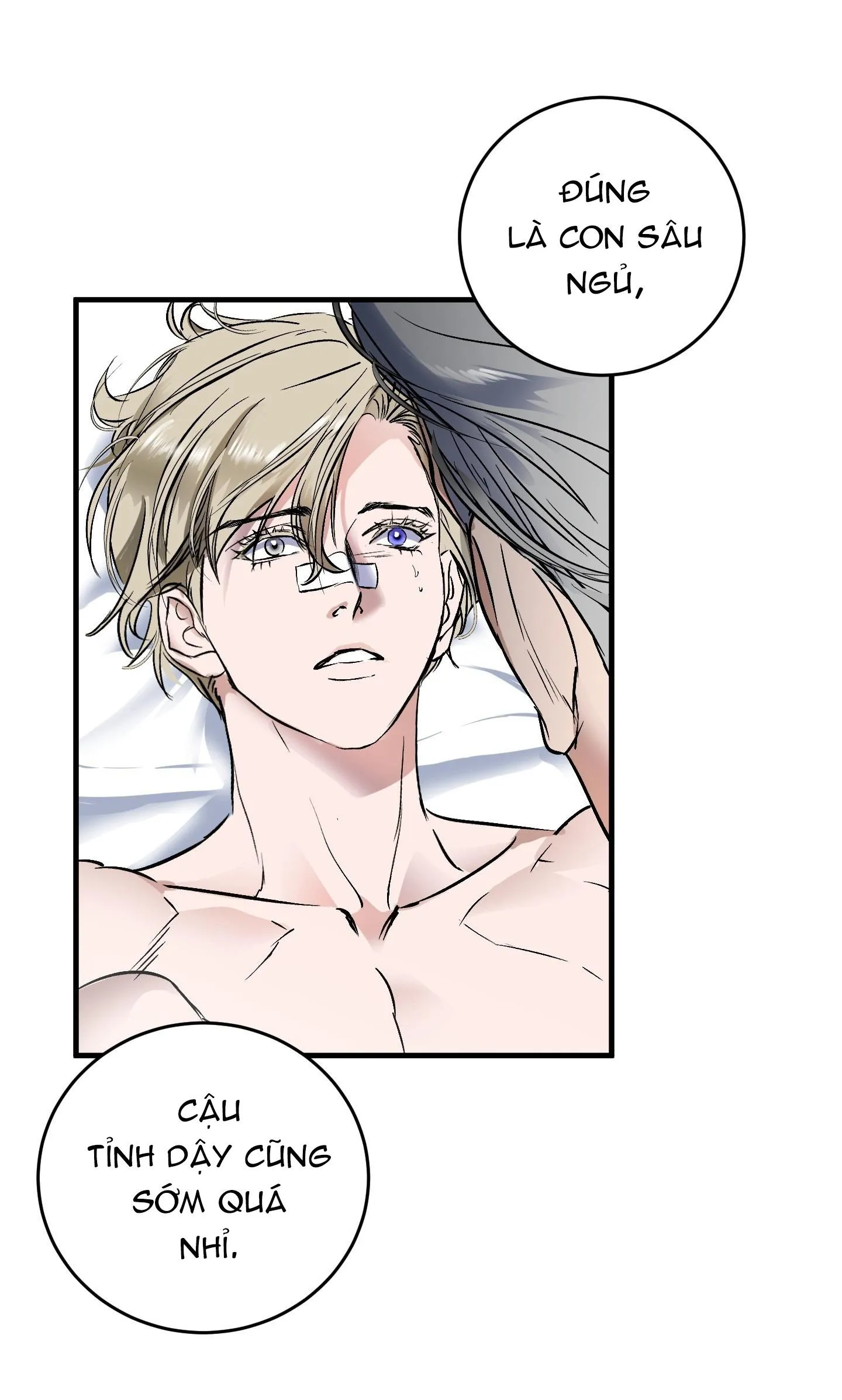 SỰ TRÓI BUỘC CỦA YAN Chapter 13 Trang 4