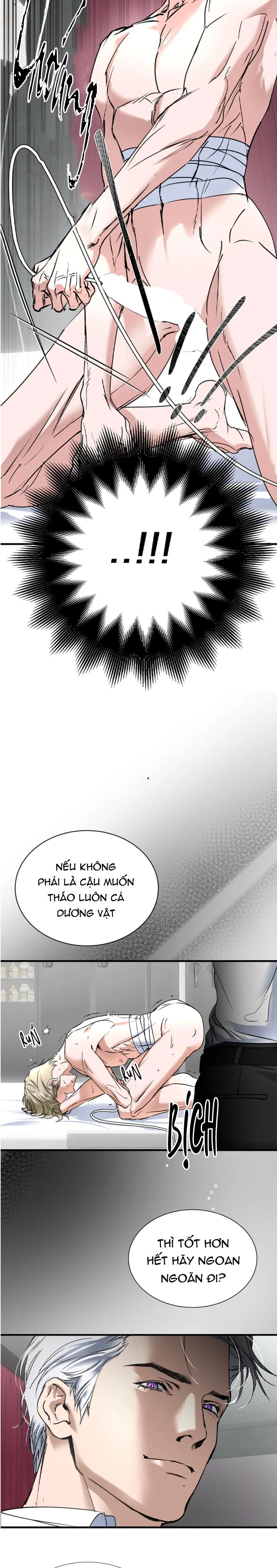 SỰ TRÓI BUỘC CỦA YAN Chapter 0 Trang 3