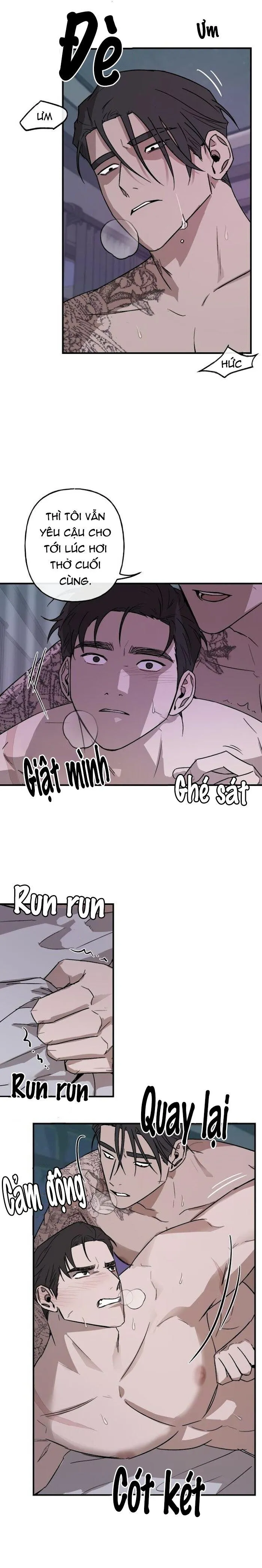 Giá Của Sự Phản Bội HOÀN Chapter 3 Trang 5