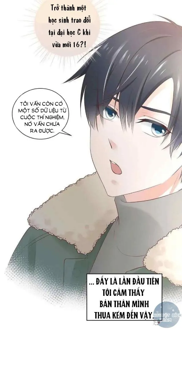 Sugar Daddy Chapter 3 Trang 4