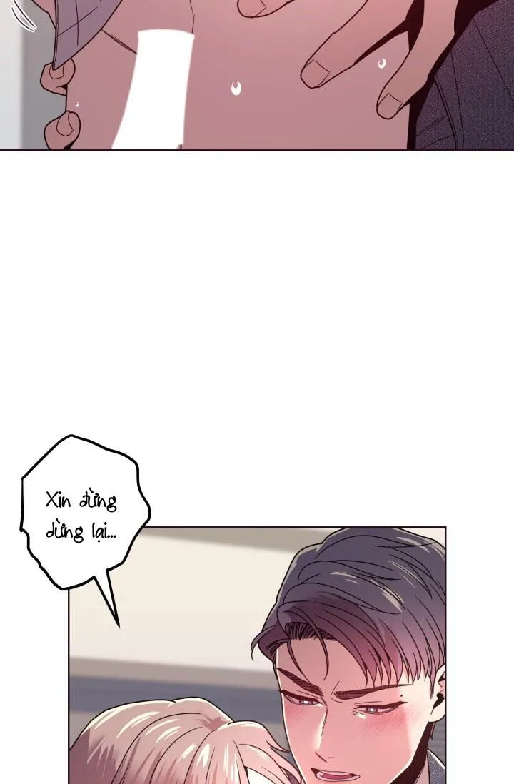 (END SS2) SỤP ĐỔ Chapter 18 Trang 73