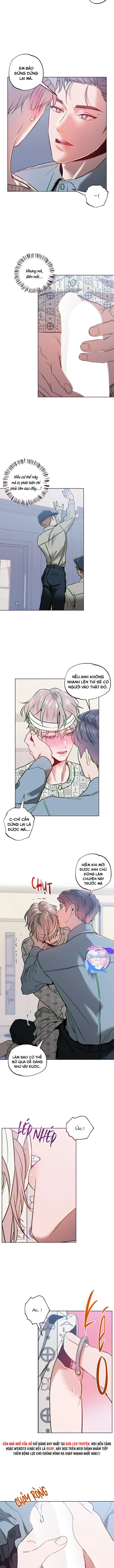 (END SS2) SỤP ĐỔ Chapter 31 Trang 8