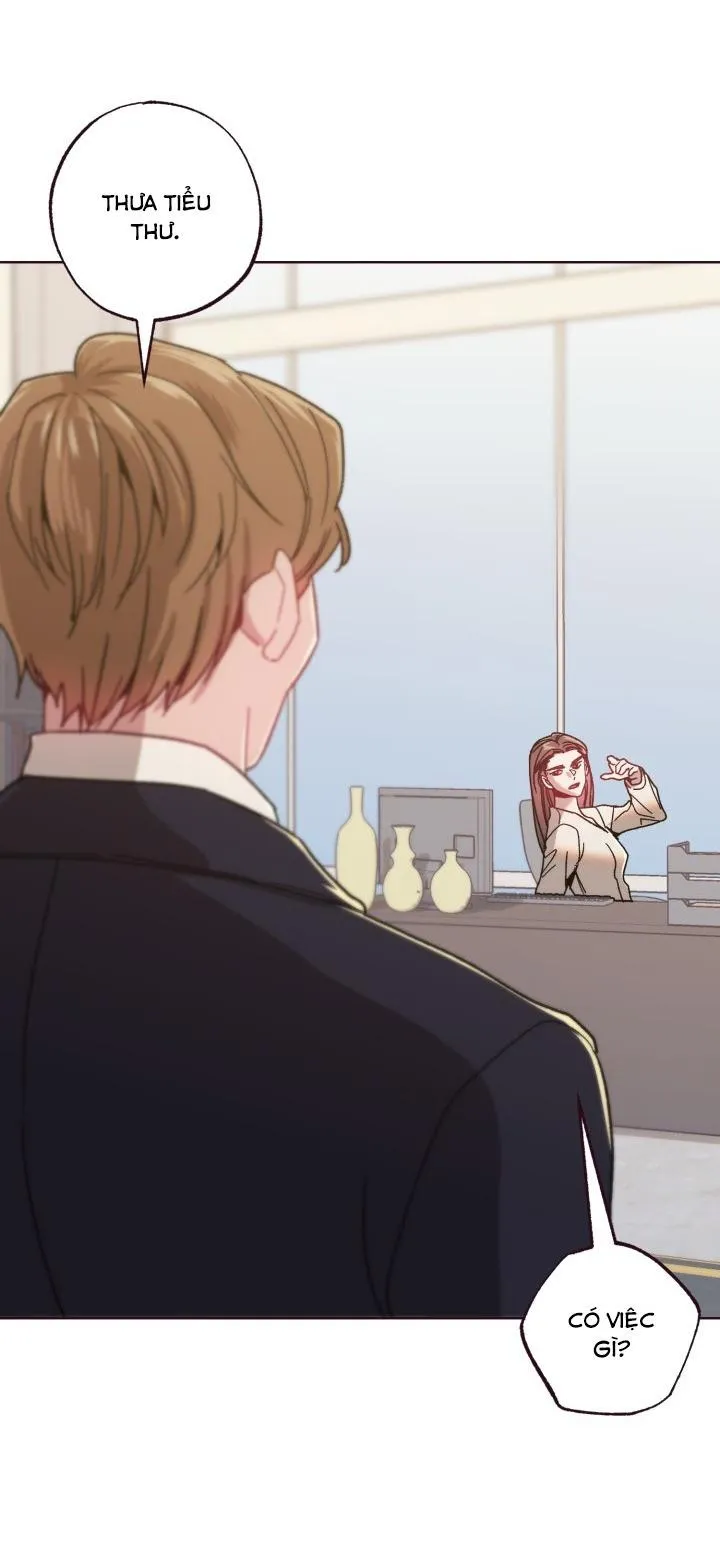 (END SS2) SỤP ĐỔ Chapter 41 Trang 29