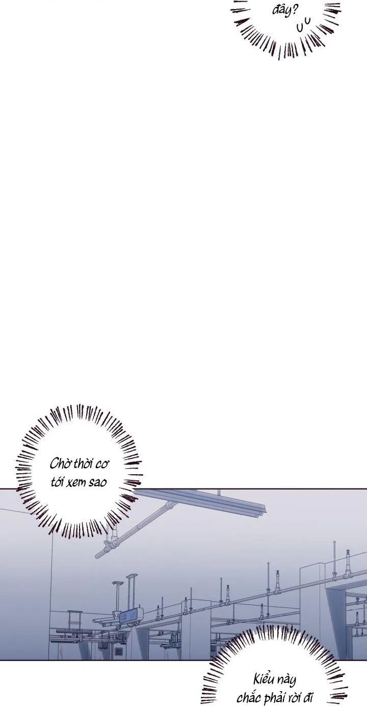 (END SS2) SỤP ĐỔ Chapter 41 Trang 47