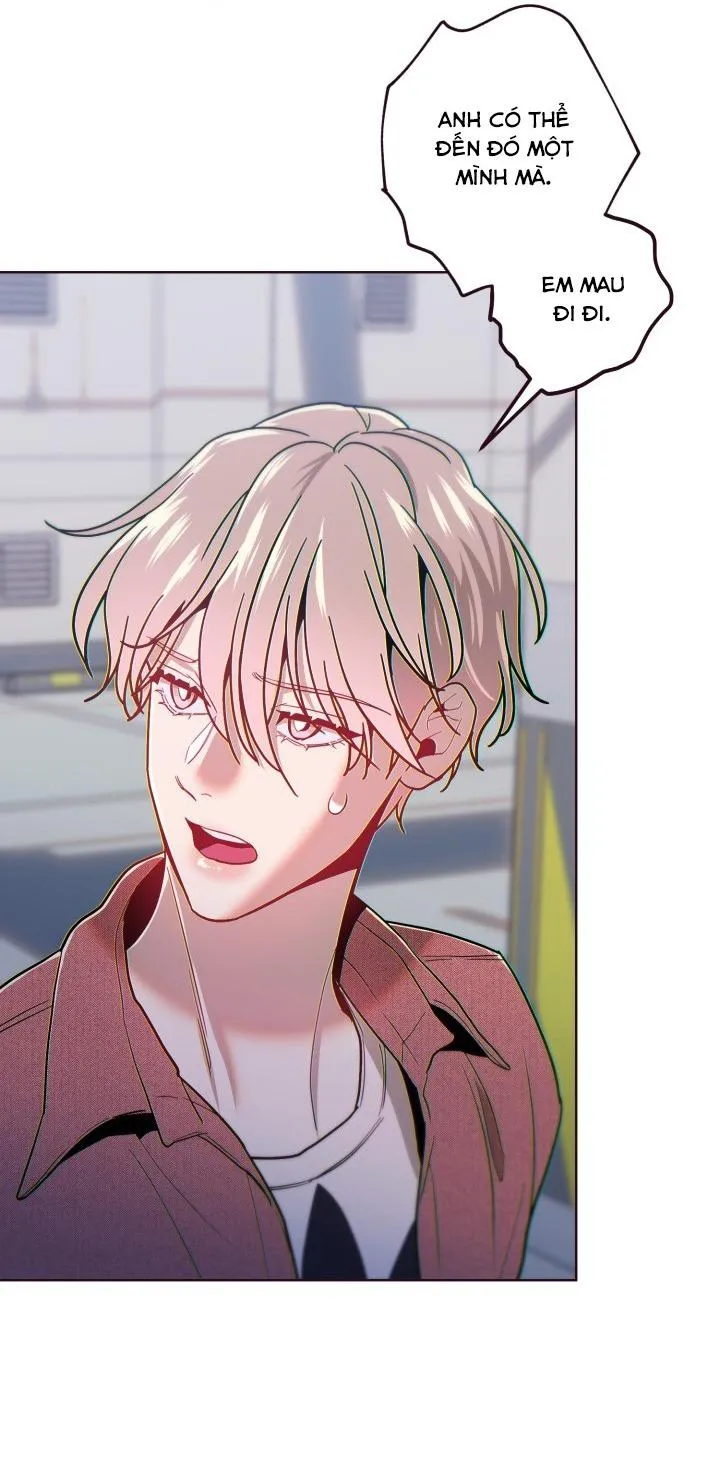 (END SS2) SỤP ĐỔ Chapter 41 Trang 51