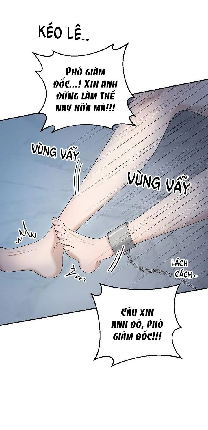 SƯU TẦM GIA Chapter 2 Trang 34