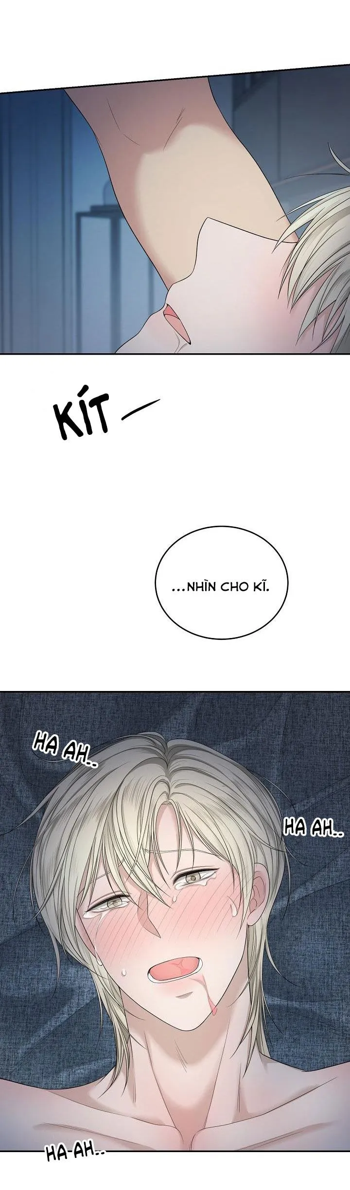 SƯU TẦM GIA Chapter 2 Trang 42