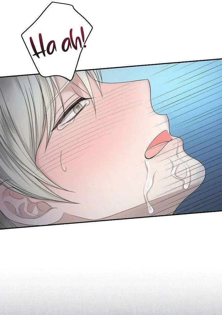 SƯU TẦM GIA Chapter 4 Trang 6