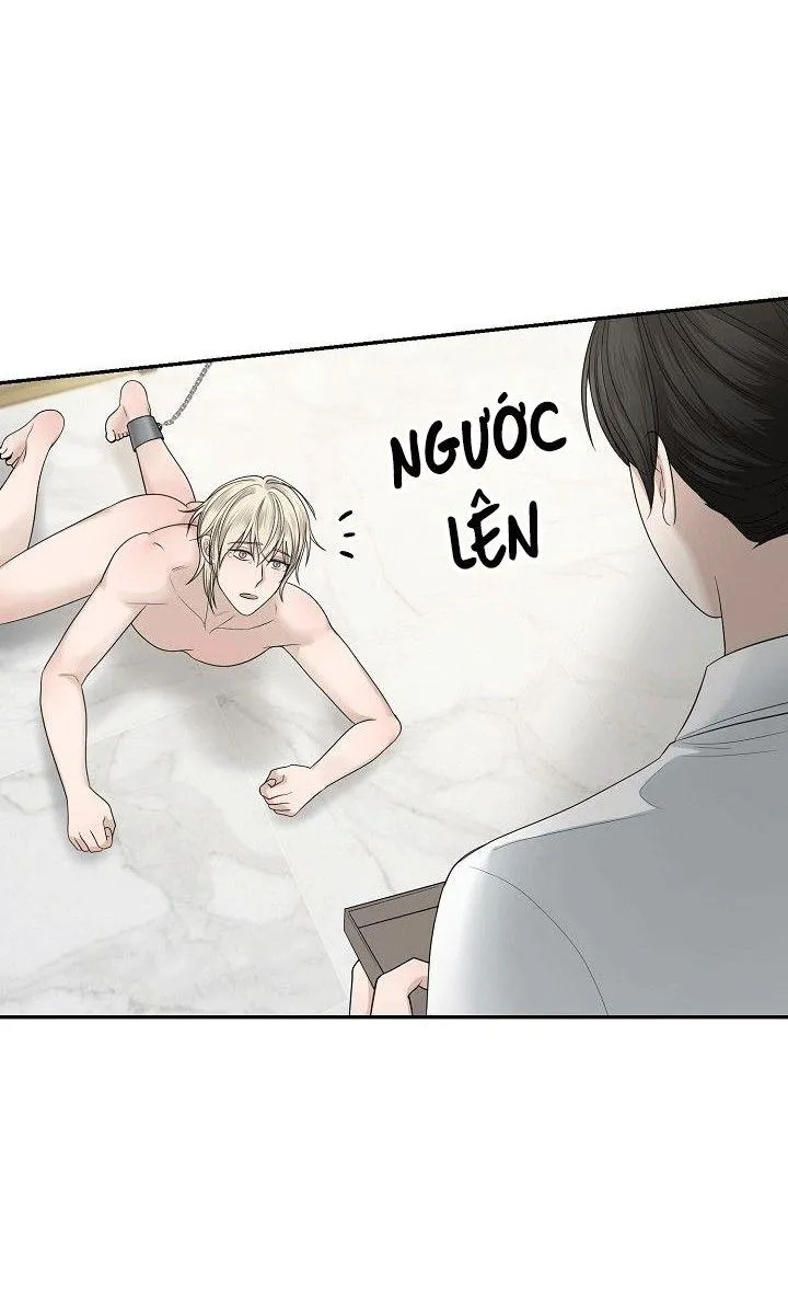 SƯU TẦM GIA Chapter 4 Trang 47