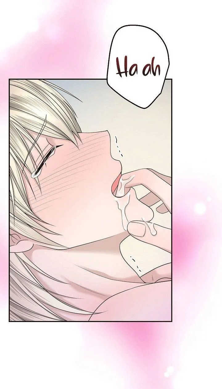 SƯU TẦM GIA Chapter 4 Trang 65