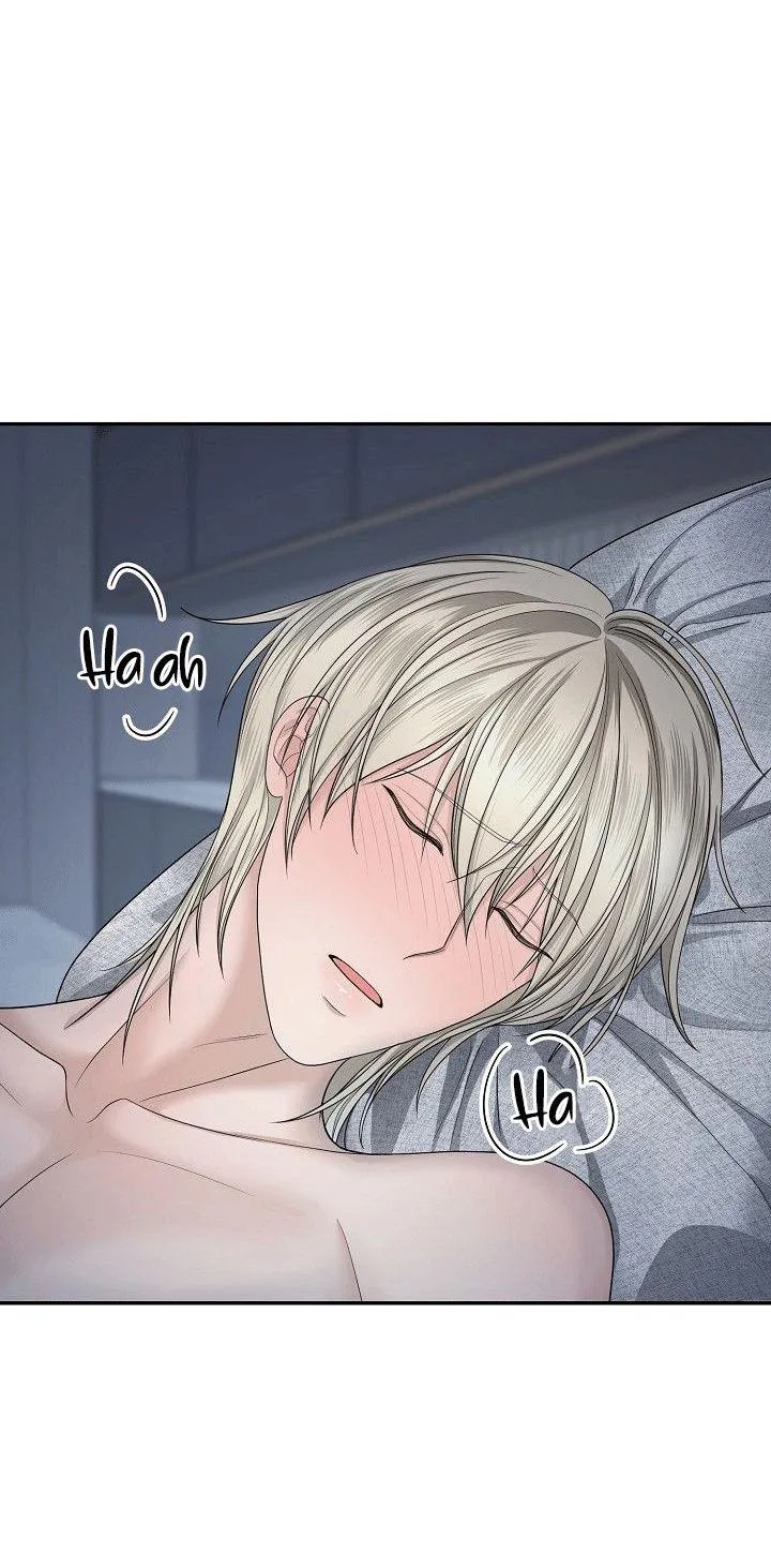 SƯU TẦM GIA Chapter 4 Trang 71