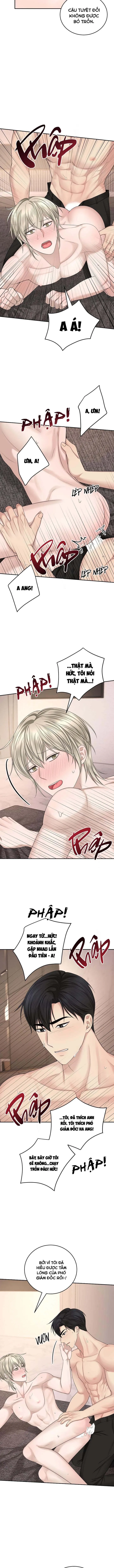 SƯU TẦM GIA Chapter 8 Trang 8