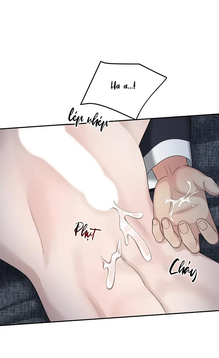 SƯU TẦM GIA Chapter 10 Trang 22