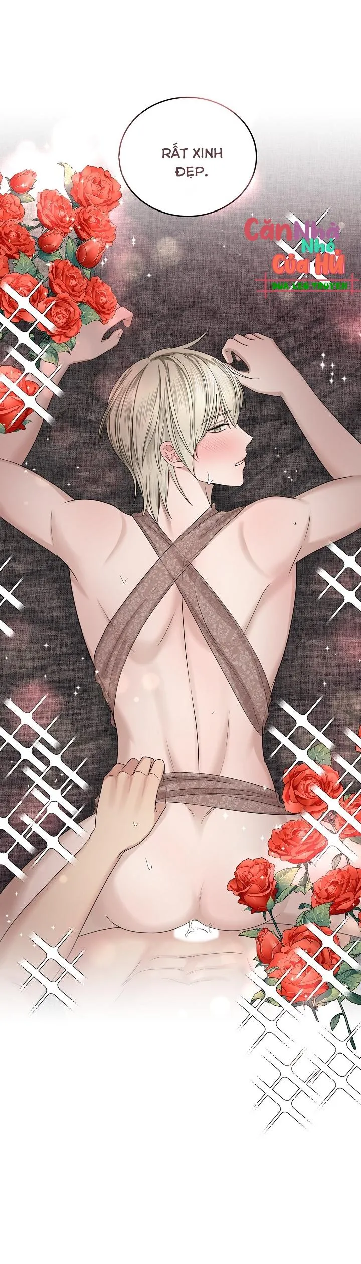 SƯU TẦM GIA Chapter 10 Trang 47