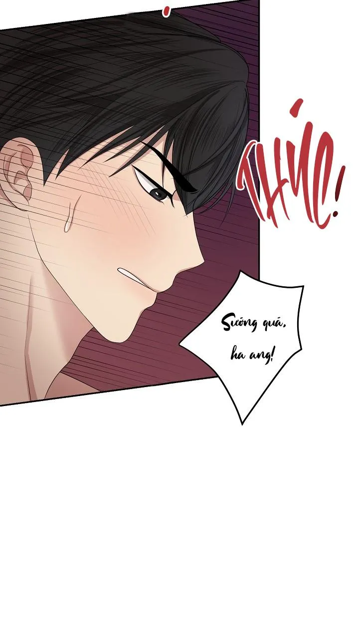 SƯU TẦM GIA Chapter 10 Trang 54