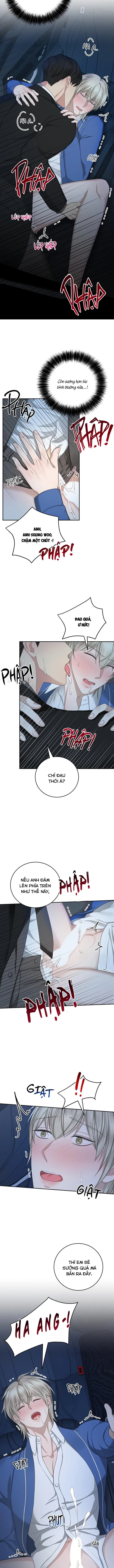 SƯU TẦM GIA Chapter 12 Trang 3