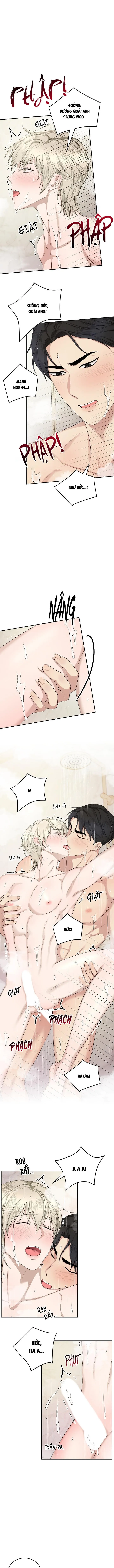 SƯU TẦM GIA Chapter 12 Trang 8