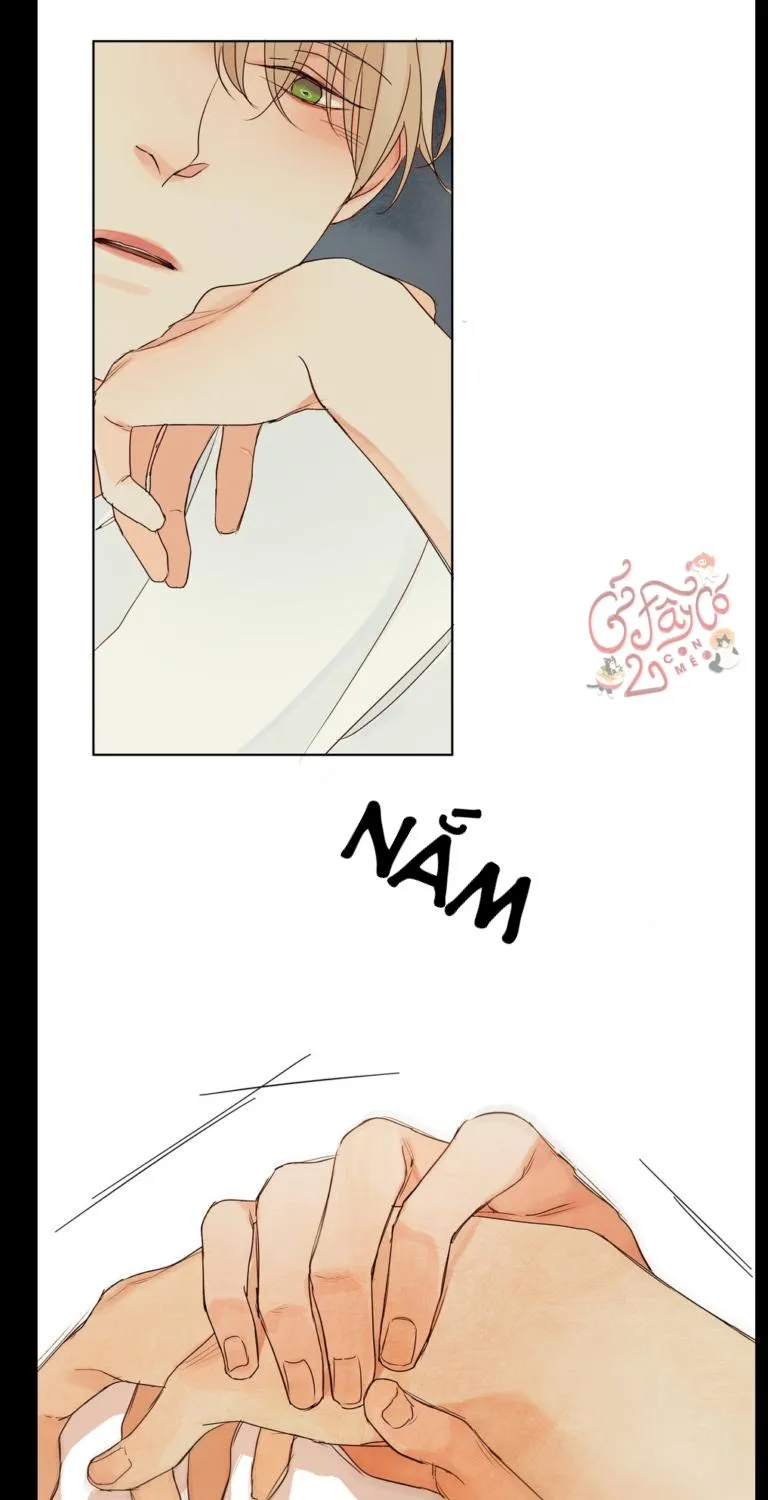 Suy Nghĩ Trong Mắt Em Chapter 2 Trang 31