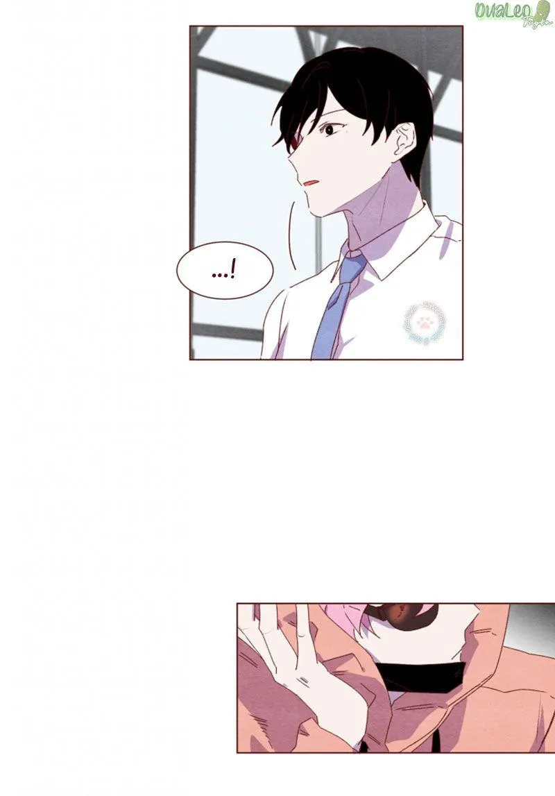 Suỵt, chúng ta sẽ làm đứa trẻ thức giấc mất! Chapter 19 Trang 12