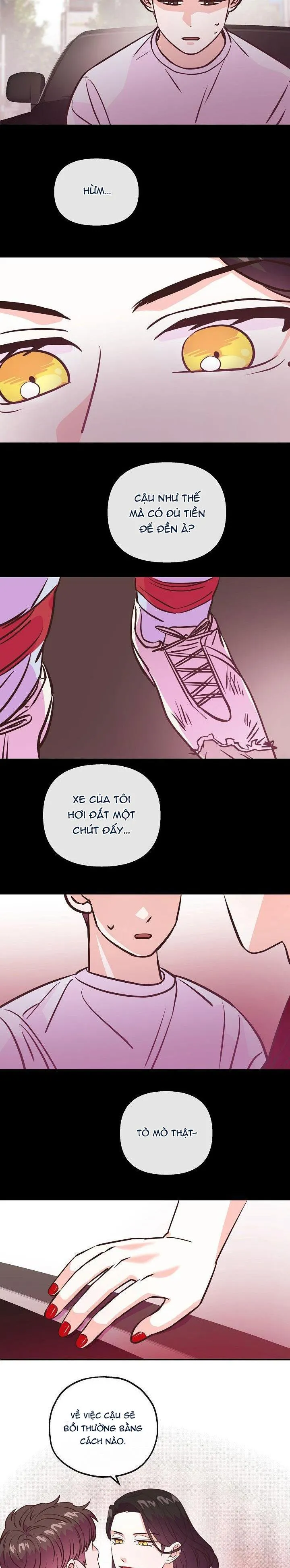 SUỴT, BÉ CƯNG ĐANG NGỦ! Chapter 12 Trang 12